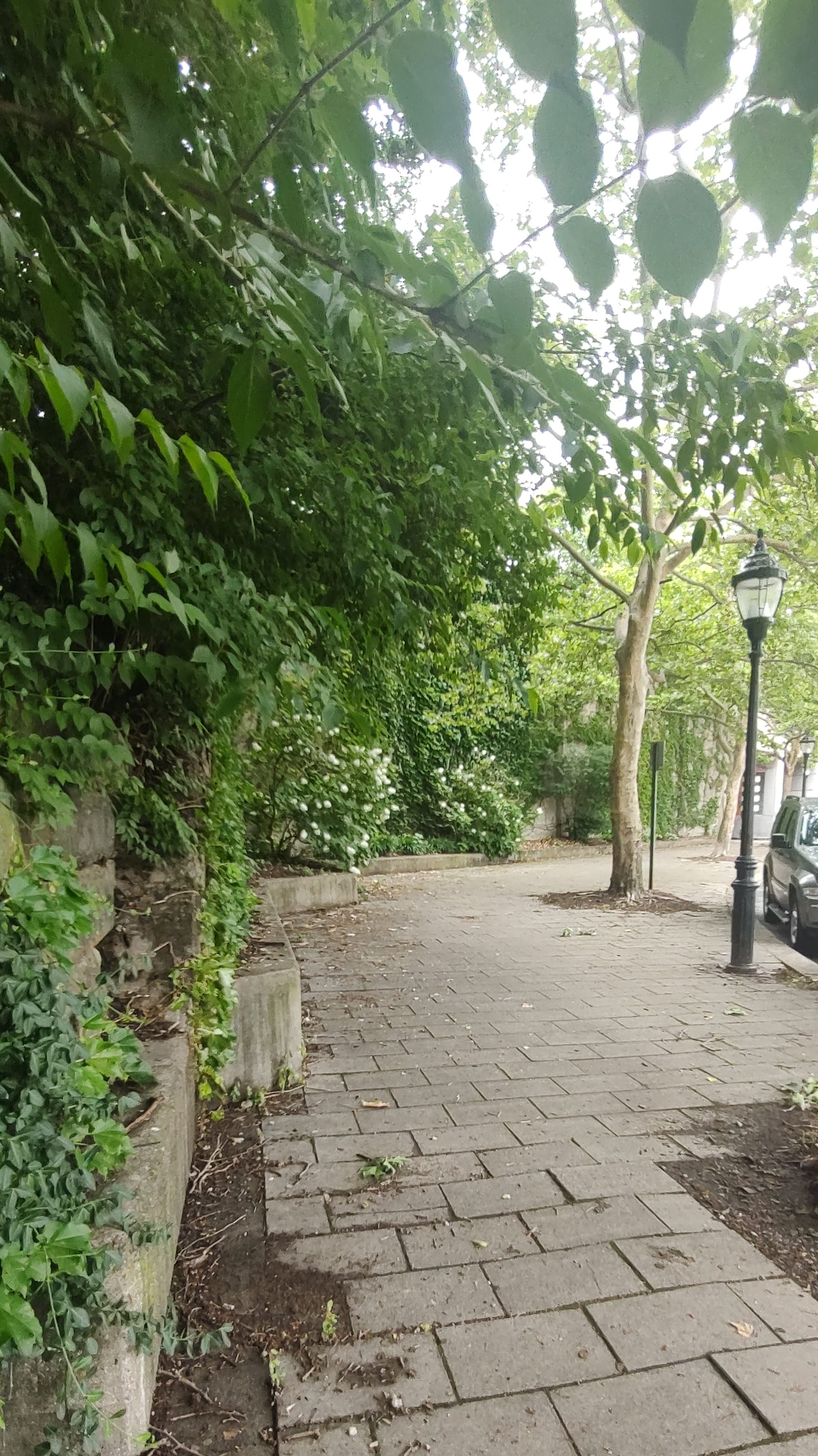 SPEAR HEAD S.P.O.T.S. SPOT!